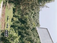 -官滩沟风景区