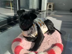 -复兴未来·轰趴空间(泰富百货店)