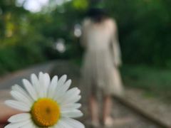 -石井坡(地铁站)