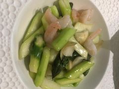 -靓蛙馆