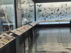 -浙江自然博物院(杭州馆)