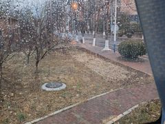 -山东大学(趵突泉校区)