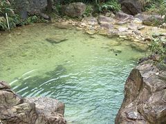-南海湾森林生态园