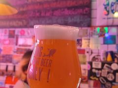 -ZING鲸鱼啤酒(葡萄院店)