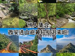 -少华山国家森林公园