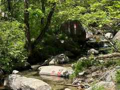 -玉渡山自然风景区