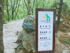 -北京鹫峰国家森林公园