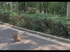 -云龙山