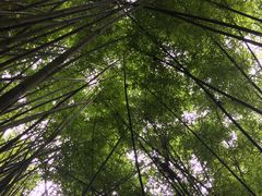 -东部华侨城