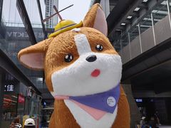 -新光里