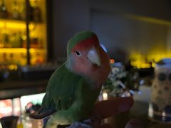 -Bar Infusion(重庆·九街店)