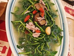 上汤西洋菜-点都德(皇岗村店)
