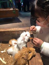 -酷嗒动物文化乐园(cutezoo西溪乐天城店)