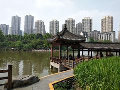 -龙头寺公园
