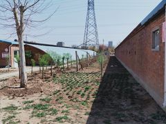 -甜心庄园·甜心草莓采摘园(西青中北店)