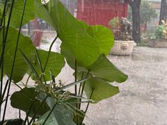 -后海公园
