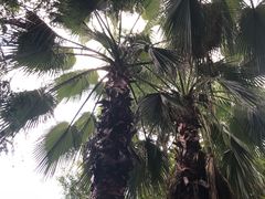 -苏州河梦清园环保主题公园