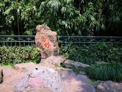 -杭州黄龙洞