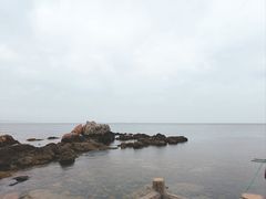 -养马岛旅游度假区