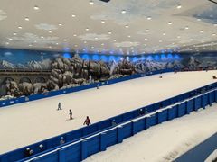 -湘江欢乐城欢乐雪域