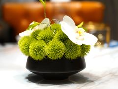 -鲐赏河豚(长寿店)
