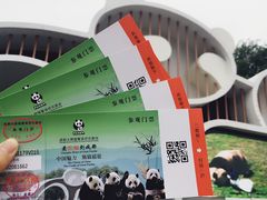 门票-成都大熊猫繁育研究基地