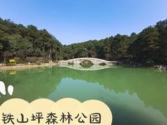 -铁山坪森林公园