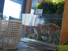 -弘安丽水温泉酒店