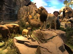 -陕西自然博物馆