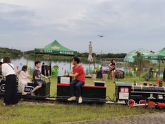 -上海都市菜园