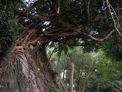 -炮台山公园
