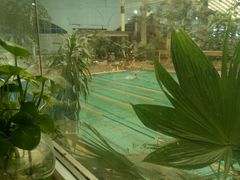 -龙脉温泉室内游泳馆