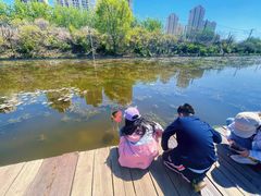 -前关湿地公园