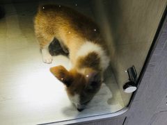 -乐宠宠物店(世纪金源店)