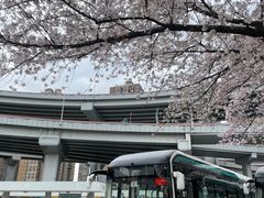 -南浦大桥长途旅游客运站