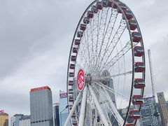 -Big Bus Tours 敞篷观光巴士