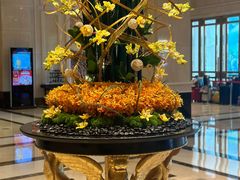 -上海小南国(国会店)