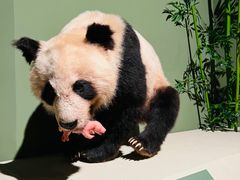 -深圳博物馆历史民俗馆