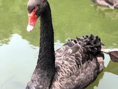 -千岛湖东南湖区