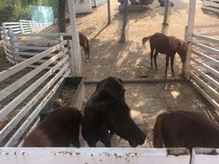 -酷鱼垂钓CLUB(朝阳区博大路店 )