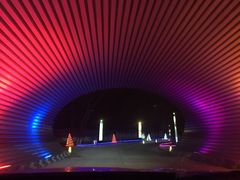 -枫花园汽车电影院(朝阳公园店)