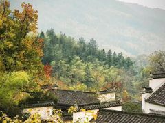 -塔川景区
