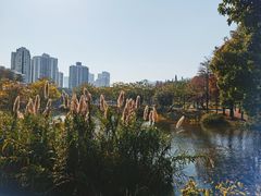 -四海公园(南山区)