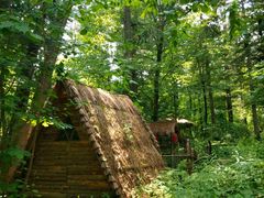 -五营红松林海景区