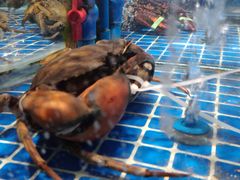 -吉源大排档·鱼生·海鲜(烧烤彩印厂店)