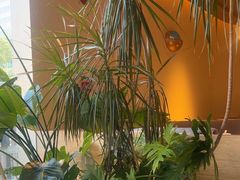 -志明眷村·台式融合菜·宵夜