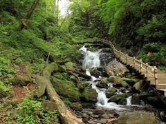-凤凰山国家森林公园