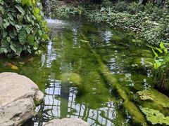-郑州植物园