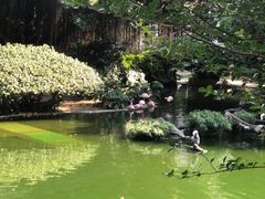 -九龙公园