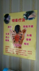 -归真美学颜究中心